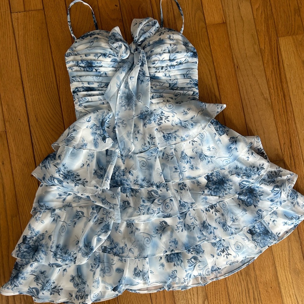 Floral Blue and White Dress